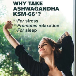 Ashwagandha KSM-66® -Coola Store AshwagandhaKSM 66Benefits 7198a618 2b8a 499b bc5a 299828db0cf8