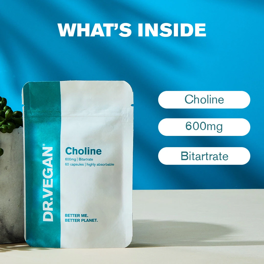 Coola Store 36 Coola Store -Coola Store Cholineingredients f0fb1883 d49b 4464 b988 571cde83f468